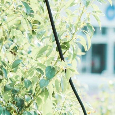 澳门·威尼斯人